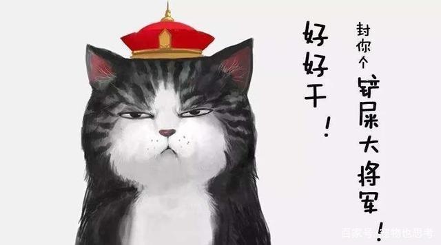 明代皇宫内的猫，有职衔有俸禄！最得宠者死后皇帝下令风光大葬